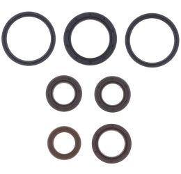 Serie Paraoli Motore Athena per Piaggio Zip 125 4T 00-02