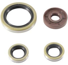 Serie Paraoli Motore Vertex per GasGas MCF 450 21-25