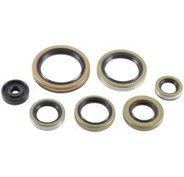 Serie Paraoli Motore Vertex per KTM 250 EXC 17-18