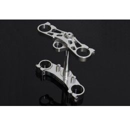Set piastre alleggerite argento Tyga Performance Suzuki RGV gamma 250 vj22 90-95