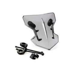 Vetro Cupolino Puig modello flanker per BMW G 310 R 16-20 colore fume chiaro