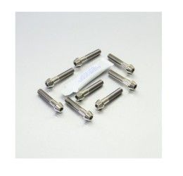 Viti chiusura pinza freno anteriore TITANIO Pro-Bolt Suzuki per GSX-R 750 88-91 testa conica