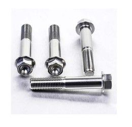 Viti montaggio pinza freno anteriore ACCIAIO INOX Pro-Bolt Aprilia per Dorsoduro 750 Factory 10-13 testa esagonale