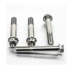 Viti montaggio pinza freno anteriore ACCIAIO INOX Pro-Bolt Ducati per 999 S 03-06 testa esagonale