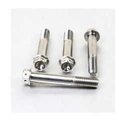 Viti montaggio pinza freno anteriore ACCIAIO INOX forate Pro-Bolt Ducati per 999 S 03-06 modello Race spec