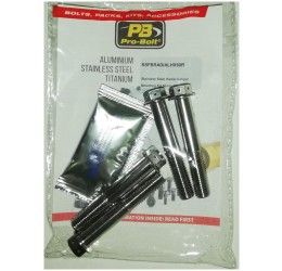 Viti montaggio pinza freno anteriore ACCIAIO INOX forate Pro-Bolt Ducati per Monster 696 08-14 modello Race spec