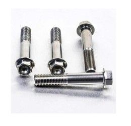 Viti montaggio pinza freno anteriore ACCIAIO INOX Pro-Bolt Honda per Africa Twin CRF 1000 L 16-19 testa esagonale