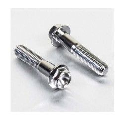 Viti montaggio pinza freno anteriore ACCIAIO INOX Pro-Bolt Suzuki per RM 125 00-12 testa esagonale