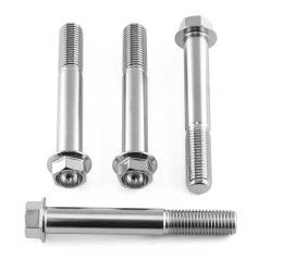 Viti montaggio pinza freno anteriore ACCIAIO INOX Pro-Bolt Triumph per Street Scrambler 900 19-22 testa esagonale