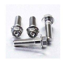 Viti montaggio pinza freno anteriore ACCIAIO INOX Pro-Bolt Triumph per Street Triple 675 07-17 testa esagonale