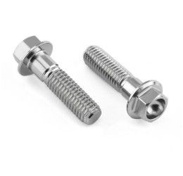 Viti montaggio pinza freno posteriore ACCIAIO INOX Pro-Bolt Aprilia per Mana 850 08-10 testa esagonale