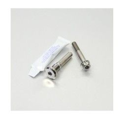 Viti montaggio pinza freno posteriore TITANIO Pro-Bolt Triumph per Street Triple 675 07-17 modello Dual drive