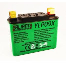 Aliant Lithium battery for Kawasaki ZXR 750 91-95 model ULTRALIGHT Y-LP09X (450g - Size 114x40x98 mm)