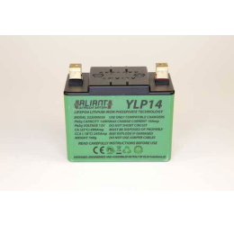 Aliant Lithium battery for Triumph Speed Triple T509 97-98 model ULTRALIGHT Y-LP14 (760g - Size 114x69x90 mm)