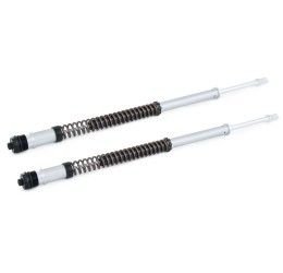 Fork cartridge Ohlins NIX22 for BMW R nine T Pure 17-22