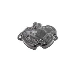 Lightech carbon pick up cover for Yamaha R1 15-25