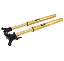 Fork Ohlins FGRT 200 R&T Adventure NIX 43mm for Honda Africa Twin CRF 1100 L DCT ABS 20-21 (GOLD sheaths)