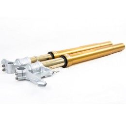 Fork Ohlins FGRT 200 R&T NIX 43mm for Ducati 1098 08-09 model with oem showa fork (GOLD sheaths)