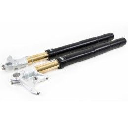 Fork Ohlins FGRT 200 R&T NIX 43mm for Ducati 899 Panigale 14-15 model with oem showa fork (BLACK sheaths)