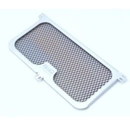 Faster96 by RG oil cooler RACING in TITANIUM for BMW S 1000 R 14-20