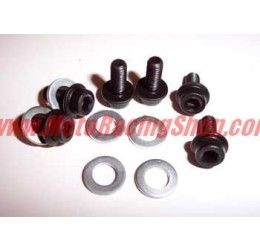 Kit of 6 screws for fixing the power valves for Aprilia RS 250 95-04