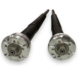 Fork cartridge Andreani MISANO EVO 2 for Honda CB 650 R 22-23 - (fork Showa 41 regolazione su perno ruota piedino)