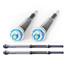 Fork cartridge kit FG Gubellini P. ZERO for BMW S 1000 RR 19-24
