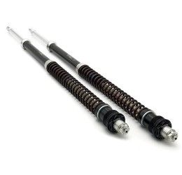 Fork cartridge Matris F15K for BMW F 750 GS 17-23 (fork type Showa) / (the kit keeps the original spring set)