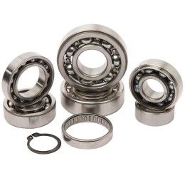 Trasmission bearing kit Hot Rods for Kawasaki KXF 250 06-08