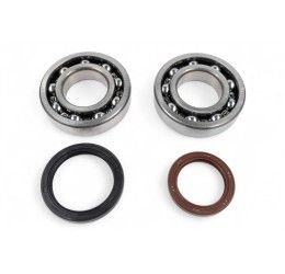 Crankshaft bearings and oil seals kit Bearingworx for Beta RR 390 15-26