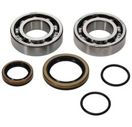 Main Bearing and sealing Kit All Balls for Beta Xtrainer 300 15-21