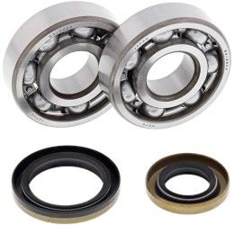 Main Bearing and sealing Kit All Balls for GasGas EC 125 03-11
