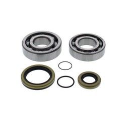Main Bearing and sealing Kit All Balls for GasGas MC 250 08-09