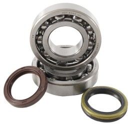 Main Bearing and sealing Kit Hot Rods for Suzuki RMZ 250 10-23