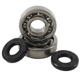 Main Bearing and sealing Kit Hot Rods for Kawasaki KX 125 85-87