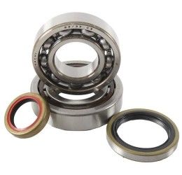 Main Bearing and sealing Kit Hot Rods for KTM 250 EXC TPI 18-23