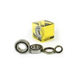 Main Bearing and sealing Kit Prox for Beta Xtrainer 300 15-23