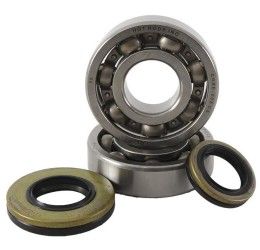 Main Bearing and sealing Kit Hot Rods for Suzuki RM 250 03-04