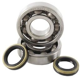 Main Bearing and sealing Kit Hot Rods for Suzuki RM 250 05-08