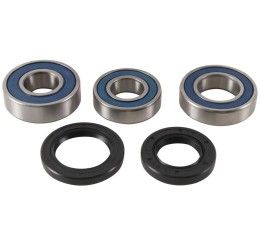 Front wheel bearing & dust seal kits All Balls for GasGas EC 300 2014
