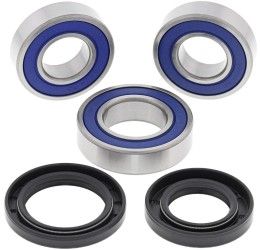 Rear wheel bearing & dust seal kits All Balls for GasGas XC 300 18-19