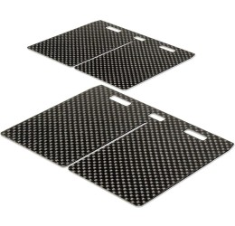 Kit carbon reeds Carbono Racing for Fantic XX 125 2021 to use on OEM reed case