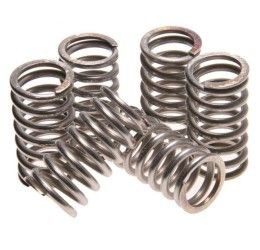 DP clutch springs kit for Beta Xtrainer 250 18-21