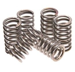 DP clutch springs kit for Beta Xtrainer 300 15-17