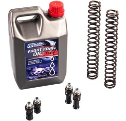 Hydraulic kit and springs FG Gubellini for Honda CBR 1100 XX 97-07