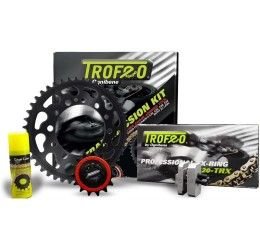 Kit final trasmission Trofeo by Ognibene for Aprilia Caponord 1000 01-07 (Chain TROFEO 525 TRB2 G&B 112 links - Front 17 - Rear 45 - Chain 525)