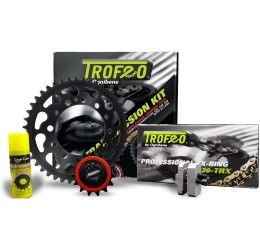 Kit final trasmission Trofeo by Ognibene for CFMoto 650 GT 21-22 (Chain TROFEO 520 TRX2 G&B 114 links - Front 15 - Rear 46 - Chain 520)