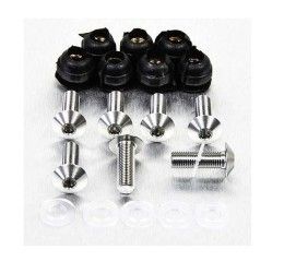 Windscreen screw kit STAINLESS STEEL Pro-Bolt for Cagiva Mito 125 94-07 - 7 bolts + wellnuts