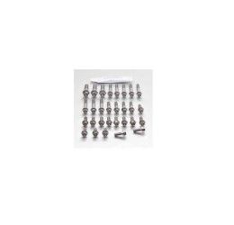 Engine drilled screw kit STAINLESS STEEL Pro-Bolt for Kawasaki Z 900 A2 19-24 Race Spec model