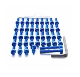 Engine screw kit ERGAL Pro-Bolt for Triumph Daytona 675 06-14